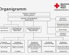 Organigramm Verein Vorlage Neu Großartig Grund organigramm Galerie Bilder Für Das