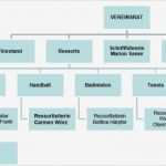 Organigramm Verein Vorlage Neu organigramm