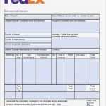 Packing List Export Vorlage Genial Free Fedex Mercial Invoice Template Excel