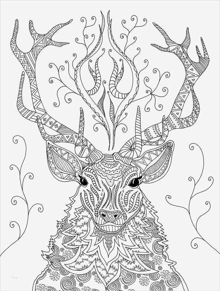 Pages Vorlagen Buch Cool Die Besten 17 Ideen Zu Mandala Tiere Auf Pinterest