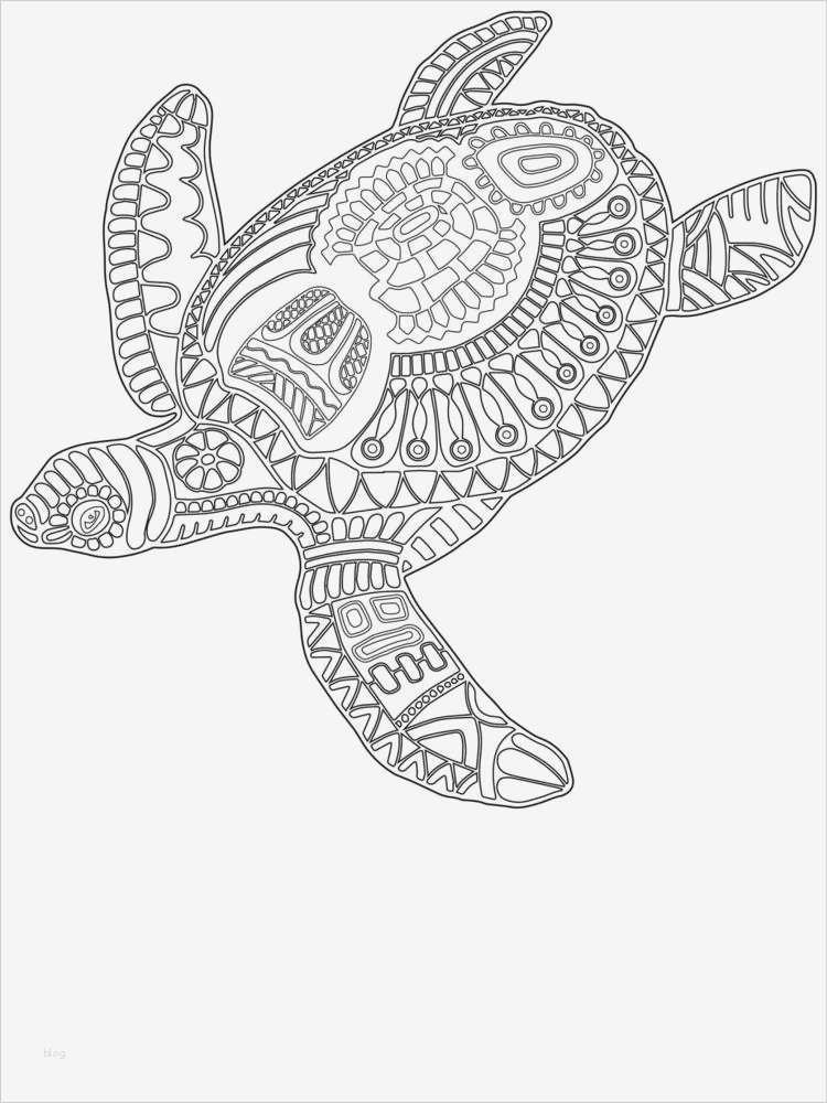 Pages Vorlagen Buch Fabelhaft Schmetterling Im Muschelwald 85 Zauberhafte Malvorlagen