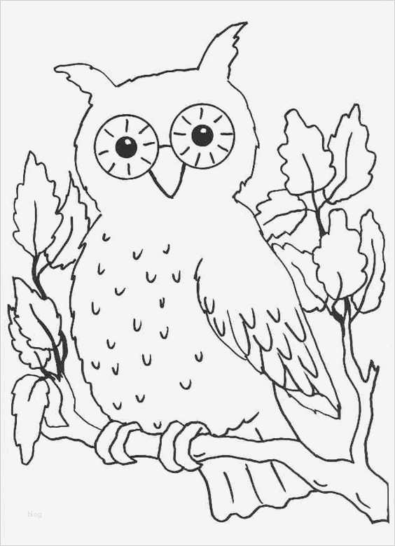 Pages Vorlagen Buch Fabelhaft Window Color Vorlagen Tiere Window Color