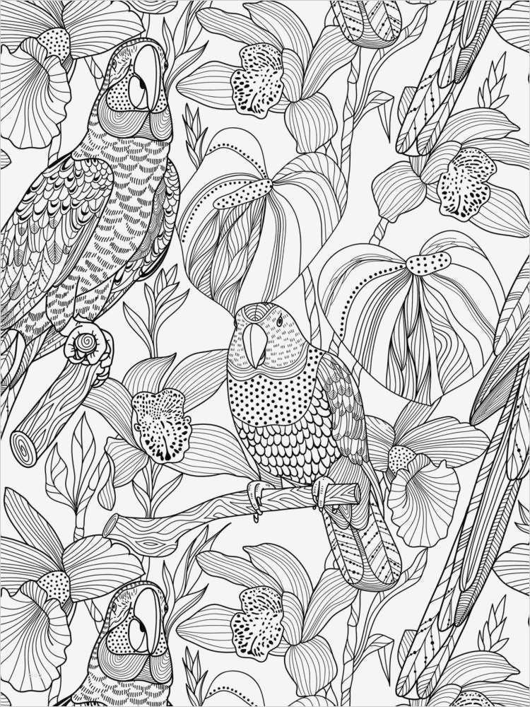 Pages Vorlagen Buch Schön Schmetterling Im Muschelwald 85 Zauberhafte Malvorlagen