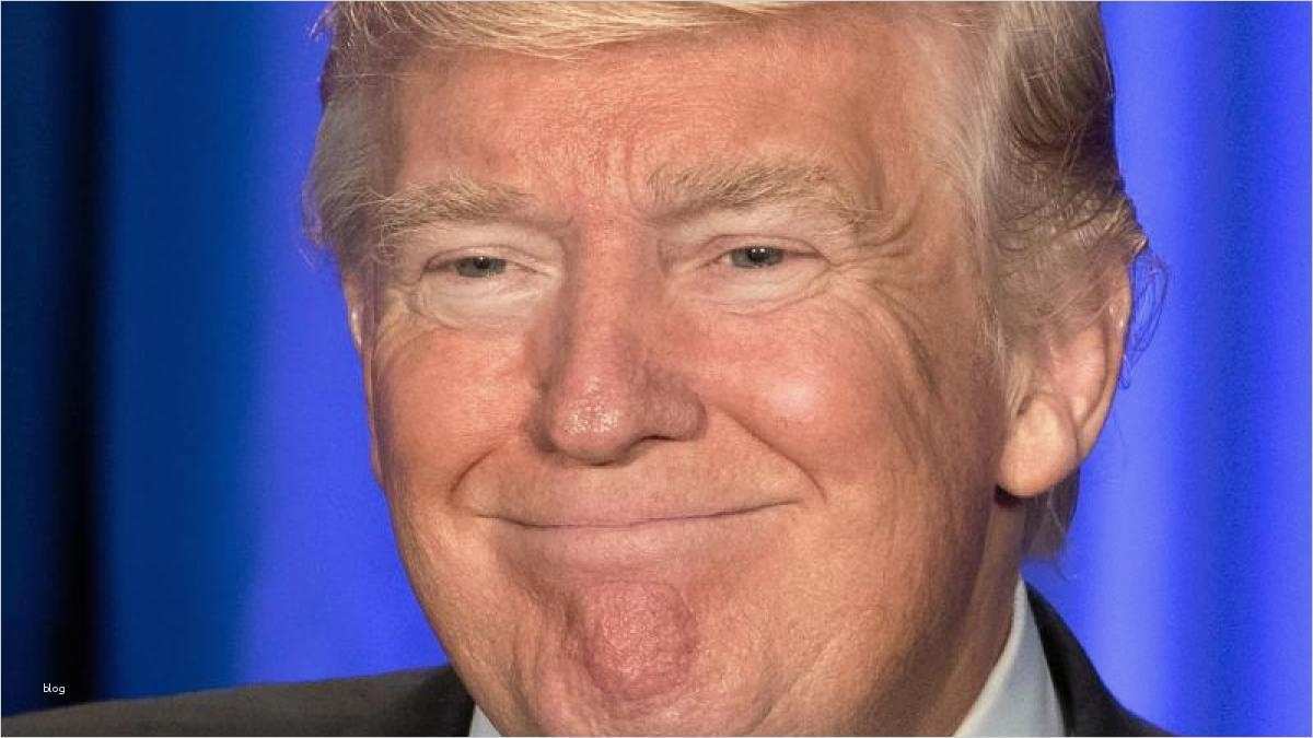 Patientenverfügung Vorlage Baden Württemberg Genial Abfuhr Für Trump In Baden Baden Welt