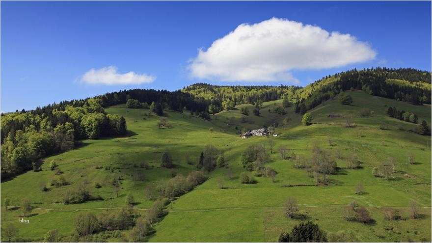 Patientenverfügung Vorlage Baden Württemberg Wunderbar Feldberg Vermisster Rentner Tagelang Von Bergwacht