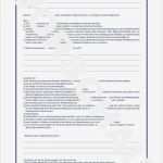 Patientenverfügung Vorlage Pdf Best Of Patientenverfügung 2837