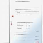 Patientenverfügung Vorlage Pdf Großartig Notfallbogen Patientenverfügung