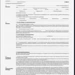 Patientenverfügung Vorlage Pdf Wunderbar Patientenverfügung Vordruck