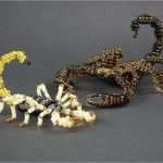 47 Neu Perlentiere Vorlagen 3d Ideen 49 Perlentiere Vorlagen 3d Schönste Grundkurs Perlentier