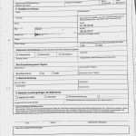 Personalfragebogen Pdf Vorlage Beste atemberaubend Kontrollblatt Vorlage Galerie Entry Level