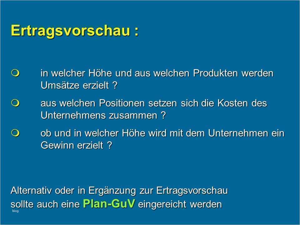 Plan Guv Vorlage Schönste Gewinn Und Verlustrechnung Businessplan