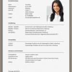 Planet Beruf Bewerbung Vorlage Angenehm Schön Lehrer Lebenslauf Profil Zeitgenössisch Entry