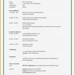 Planet Beruf Bewerbung Vorlage Fabelhaft 8 Muster Lebenslauf Pdf