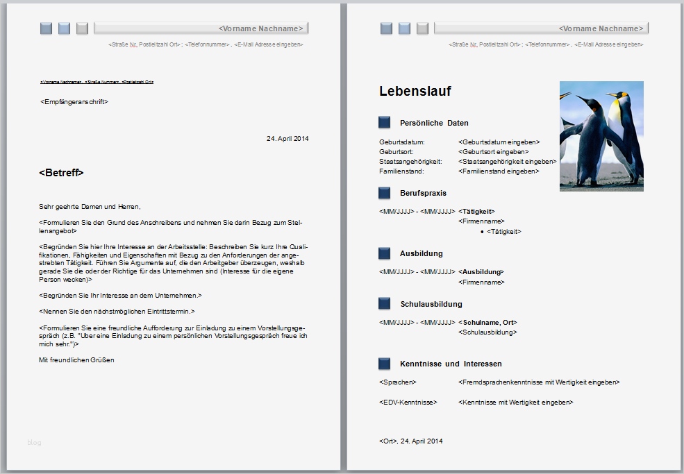 Planet Beruf Bewerbung Vorlage Schön Bewerbungsvorlagen Word 2010
