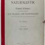 Playmais Vorlagen Ausdrucken Genial Vorlagen Vorlage Kniffel Vorlage Vorlage Vorlage