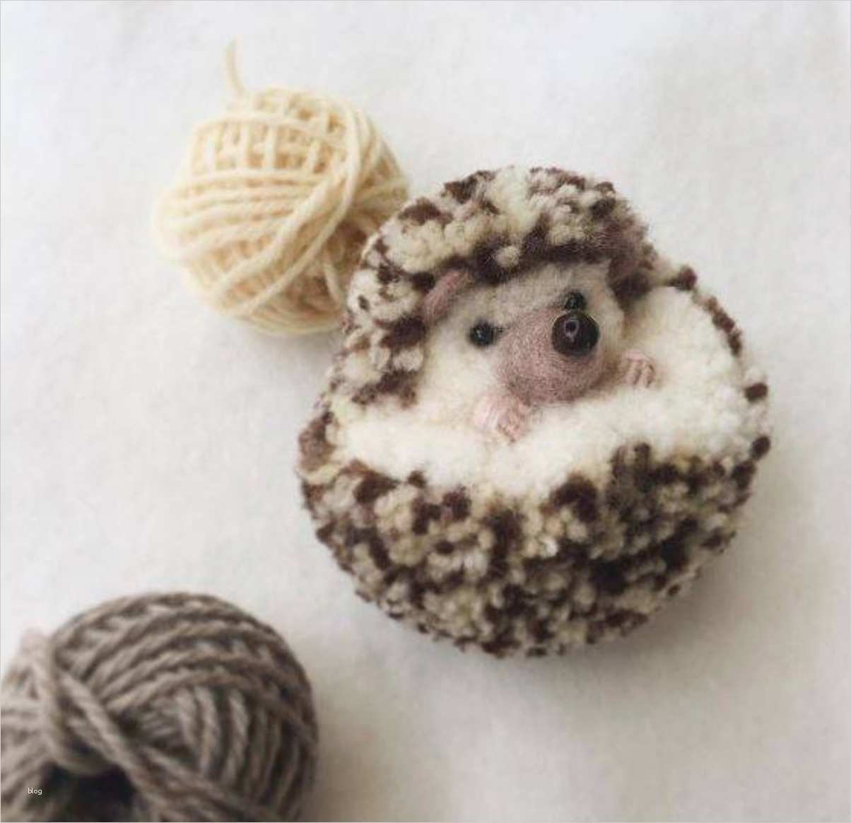 Pompon Tiere Basteln Vorlage Schön Pompon Tiere Basteln Nettetipps