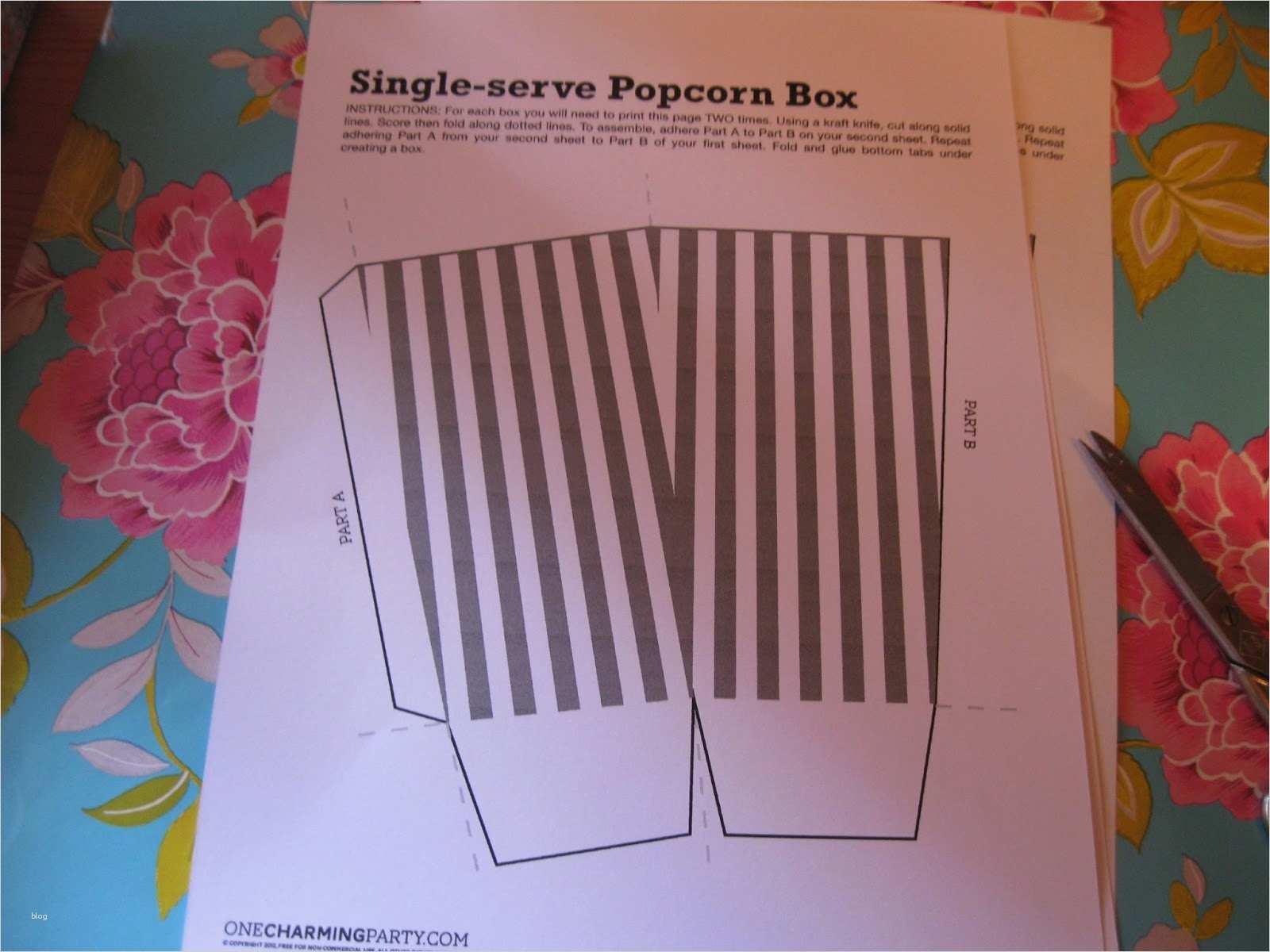 Popcorn Schachtel Vorlage Hübsch Fräulein Trollblume Diy Popcorntüte