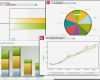Portfolioanalyse Excel Vorlage Hübsch Project Reporting software