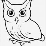 Porzellanmalerei Vorlagen Kostenlos Beste Die 25 Besten Ideen Zu Ausmalbilder Eulen Auf Pinterest