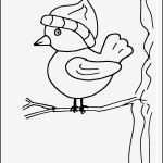 Porzellanmalerei Vorlagen Kostenlos Einzigartig 42 Besten Ausmalbilder Winter Bilder Auf Pinterest