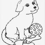 Porzellanmalerei Vorlagen Kostenlos Genial Ausmalbilder Tiere Gratis 02 Schrumpffolie