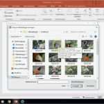 Powerpoint Fotoalbum Vorlage Luxus Fotoalbum In Powerpoint 2016