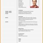 Pr Text Vorlage Gut 7 Schülerpraktikum Lebenslauf