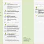 Praktikums Vorlage Muster Inspiration 9 Lebenslauf Praktikum