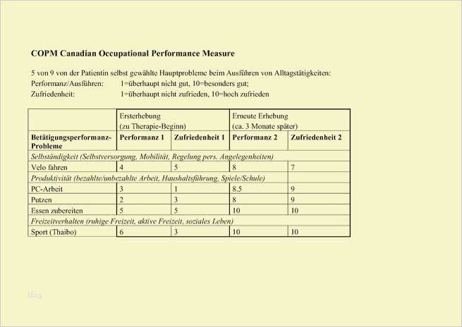 Praktikumsbericht Ergotherapie Vorlage Erstaunlich Großartig Ergotherapie Beispiel Fotos