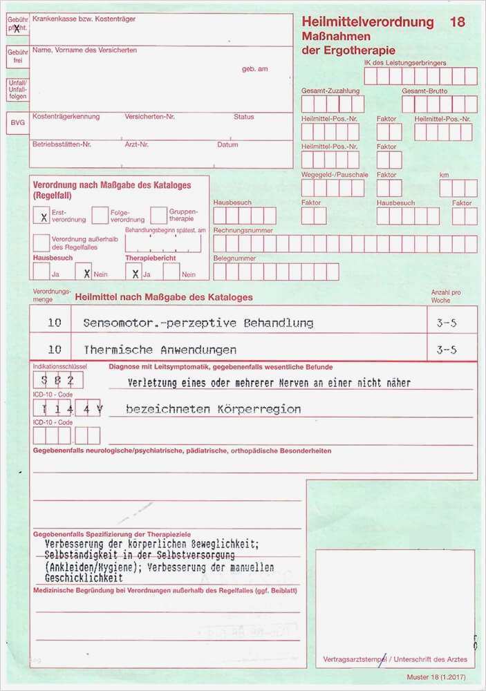 Praktikumsbericht Ergotherapie Vorlage Inspiration Großartig Ergotherapie Beispiel Fotos