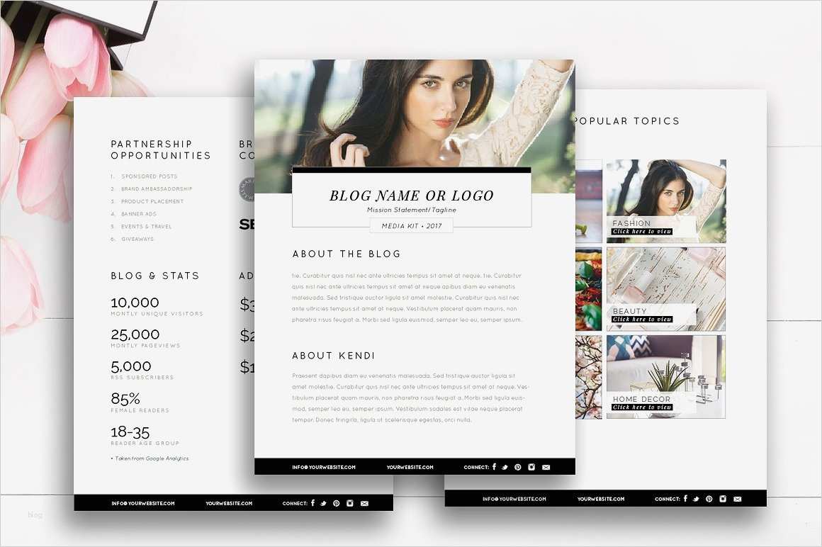 Press Kit Vorlage Best Of Blogger Media Kit Template