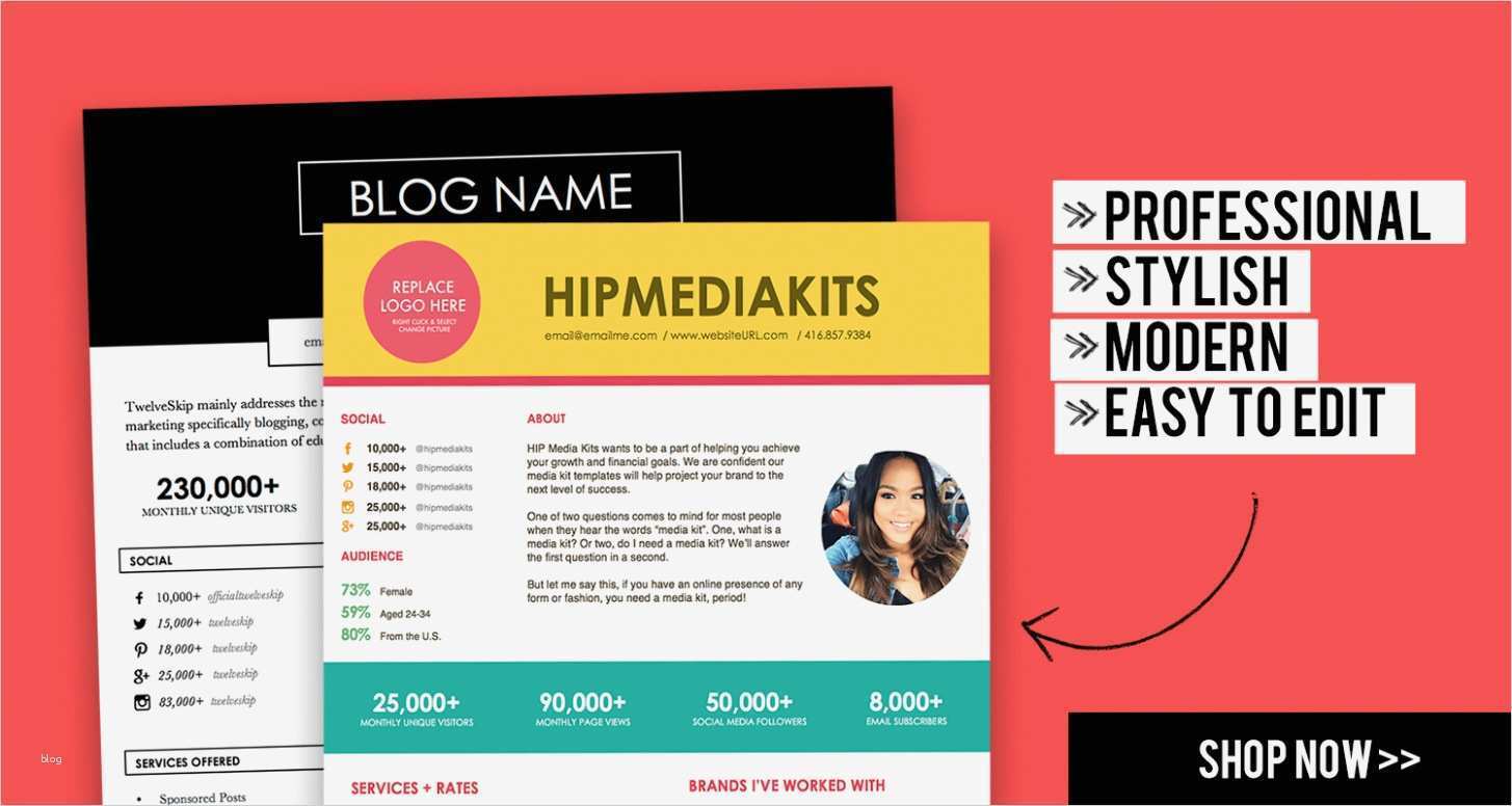 Press Kit Vorlage Fabelhaft Free Download Sample Creative Media Kit Templates Press