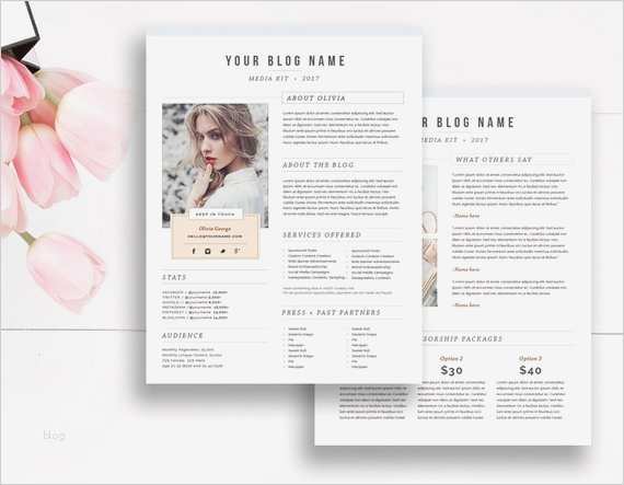 Press Kit Vorlage Genial Media Kit Template 2 Page Blogger Media Kit Blog Media Press