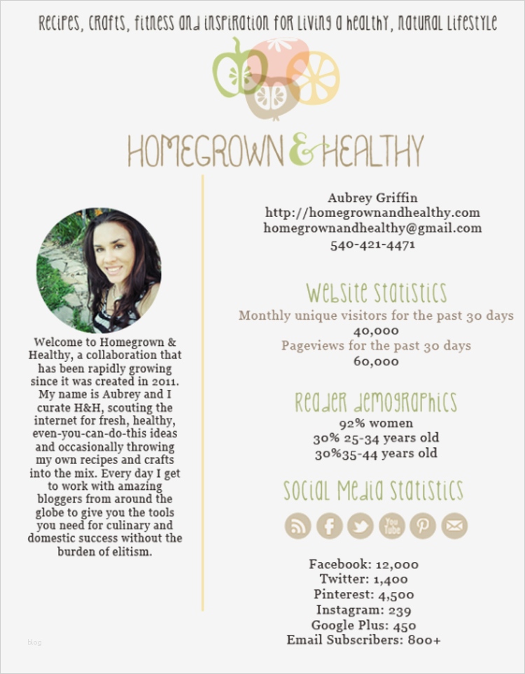 Press Kit Vorlage Wunderbar Schön Press Kit Vorlage Zeitgenössisch Vorlagen Ideen