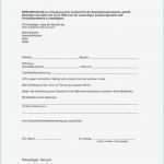 Privat Vertrag Vorlage Schön 15 Autoverkauf Vertrag Muster Privat