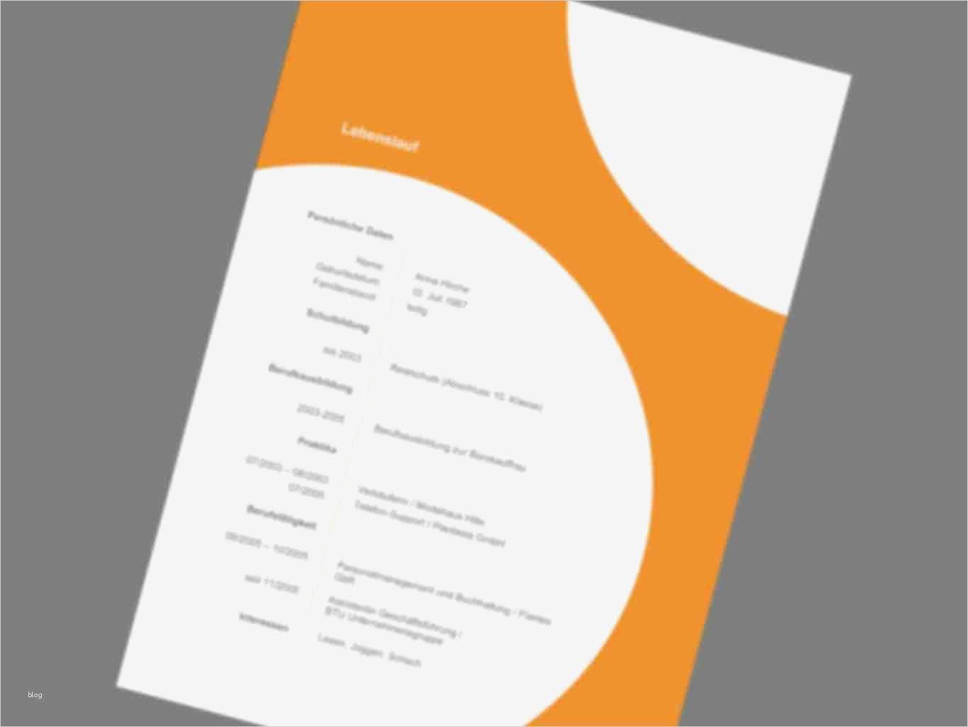 Produktaudit Vorlage Kostenlos Erstaunlich Musterbewerbung Vorlagen Bewerbung Agentur