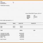 Proforma Rechnung Schweiz Vorlage Elegant 9 Proforma Rechnung