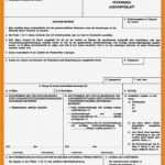 Proforma Rechnung Schweiz Vorlage Elegant 9 Proforma Rechnung Vorlage