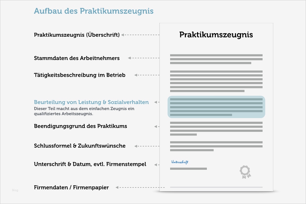 Projektbericht Vorlage Kostenlos Wunderbar Praktikumszeugnis formulierungen Inhalt Muster