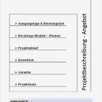 Projektbeschreibung Vorlage Schule Luxus Beratungsangebot Vorlage Phdr Martin Müller