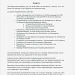 Projektbeschreibung Vorlage Schule Wunderbar Pdf