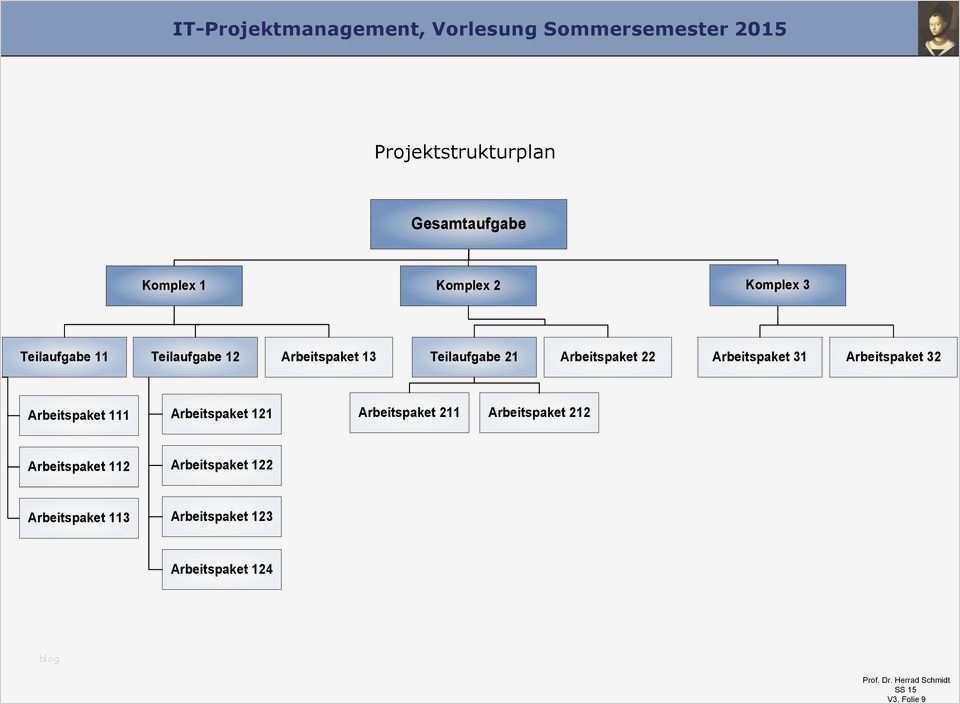 Projektstrukturplan Vorlage Word Download Gut atemberaubend Arbeitspaket Vorlage Bilder