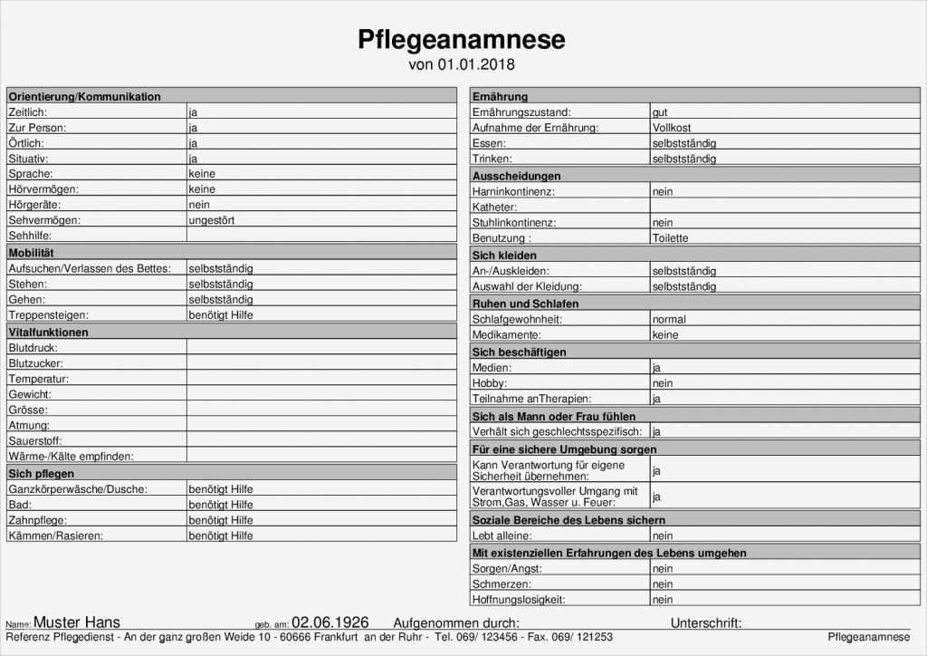 15 Best Of Psychologische Anamnese Vorlage Galerie 3 Psychologische Anamnese Vorlage Genial Anamnese Pflegeanamnese – Meinpfleg Nst
