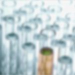 Qualitätsmanagement Zahnarztpraxis Vorlagen Bewundernswert Fantastisch Nimmt Qualitätsmanager Wieder Auf Fotos