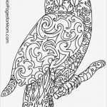 Rechnung Per Email Vorlage Gut [e Mail Lebenslauf Anschreiben Anhang] 100 Images