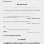 Register Drucken Word Vorlage Erstaunlich Ungewöhnlich Urlaub Namensschild Vorlagen Ideen