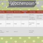 Register Vorlage 1 20 Cool 20 Wochenplaner Vorlage Pdf Dmg Alliance