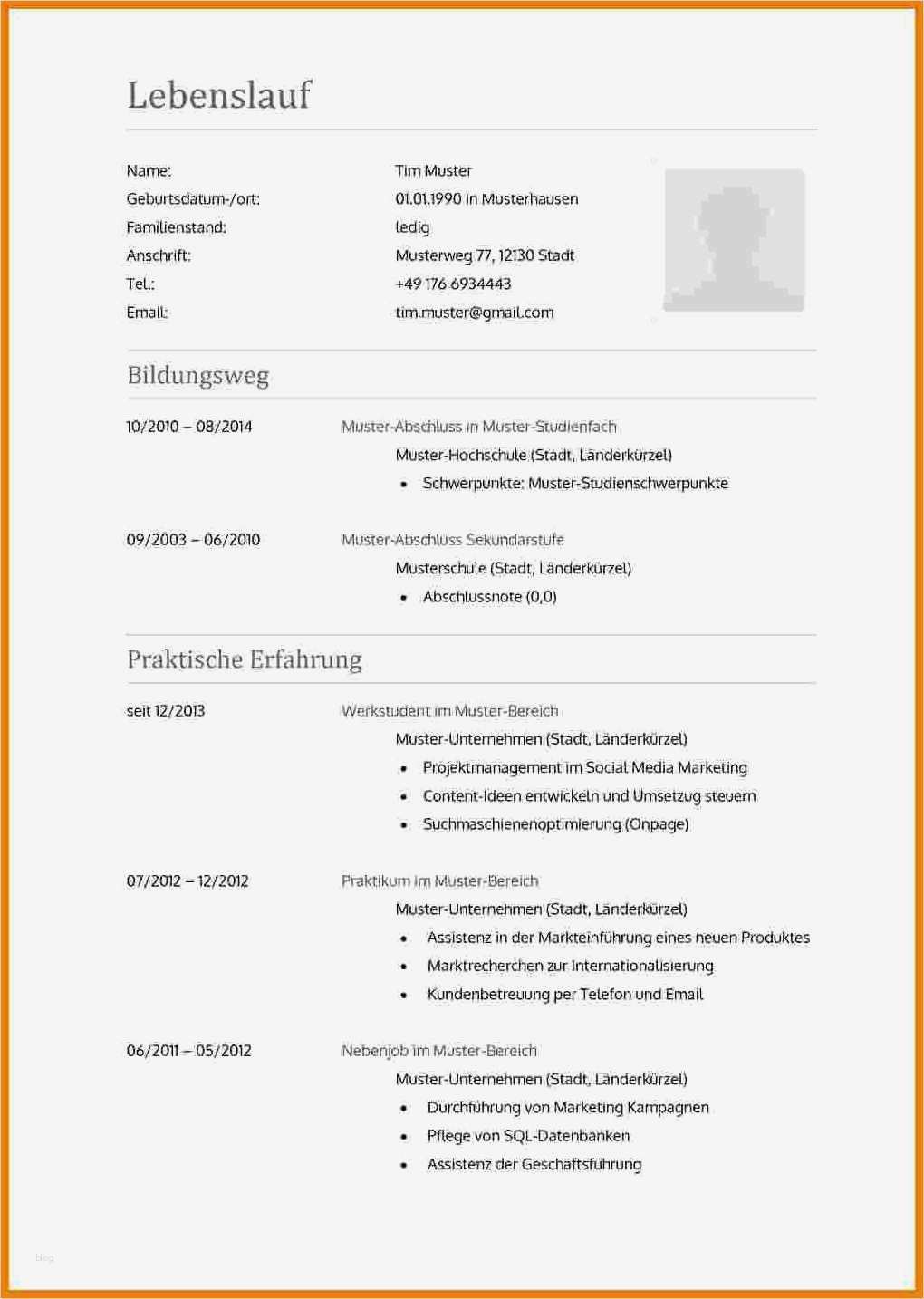 Register Vorlage 1 20 Luxus 20 Lebenslauf Muster 2015