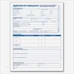 Reinigungsplan Hotel Vorlage Erstaunlich [mitarbeiter Monatsplan Vorlage] 100 Images