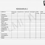 Reinigungsplan Küche Gastronomie Vorlage Elegant Reinigungsplan formular I by Hygiene Bei Edelbrennern issuu